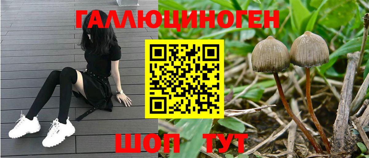 Галлюциногенные грибы мицелий  Вход с VPN  купить наркоту  Кострома 