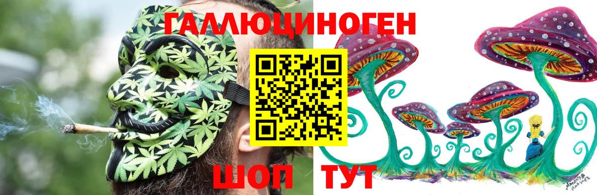 Галлюциногенные грибы прущие грибы Кострома